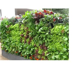 1m2 Vườn tường HOLO - Khung chậu nhựa trồng cây trồng rau trồng hoa trên tường - Nhiều màu (10 khung + 30 chậu)
