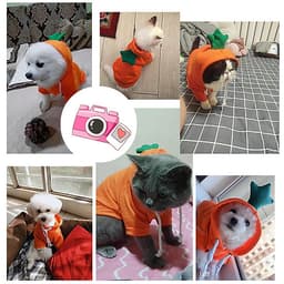 Áo Quần Thú Cưng, Áo cho chó mèo siêu cute