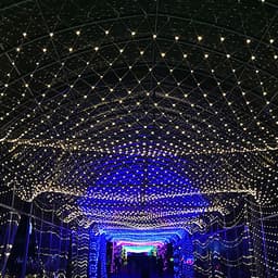 Lưới Đèn LED Chống Nước Trang Trí Ngoài Trời Cho Giánh Sinh, Tiệc, Lễ Tết - Nhiều Kích Cỡ