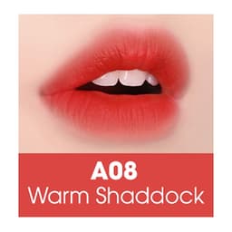 Son Black Rouge Air Fit Velvet Tint Mood Filter