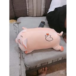 Gấu Bông Heo Lười Mắt Híp Có 5 Kích Thước 2 Màu
