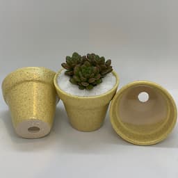 Sen Đá Ruby Đỏ - 7x7x15 Cm - Cây Mini Để Bàn & Chậu Gốm Sứ Bát Tràng Trồng Cây Sen Đá, Xương Rồng, Tiểu cảnh Terrarium - Dáng Trôn Ốc