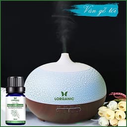 Combo máy khuếch tán/ máy xông tinh dầu Lorganic Bí Ngô FX2055 + tinh dầu bạch đàn chanh Lorganic (10ml) LGN0364/ Thích hợp xông phòng 15-40m2.