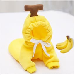 Áo Quần Thú Cưng, Áo cho chó mèo siêu cute