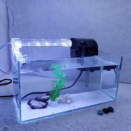Bể cá mini để bàn có hồ lọc đèn phụ kiện đầy đủ