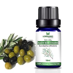 Combo máy khuếch tán/ máy xông tinh dầu Lorganic Bí Ngô FX2055 + tinh dầu bạch đàn chanh Lorganic (10ml) LGN0364/ Thích hợp xông phòng 15-40m2.
