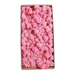 Rêu Trang Trí Tường Không Cần Bảo Dưỡng Được Bảo Quản Tự Nhiên Cho Tường