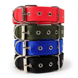 Vòng cổ đệm cho chó (Chọn 4 màu) - Vòng cổ chó mèo 5 size thích hợp mọi loại chó