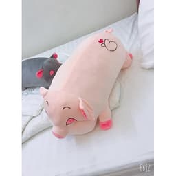Gấu Bông Heo Lười Mắt Híp Có 5 Kích Thước 2 Màu