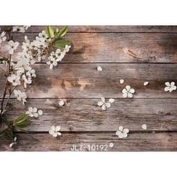 Phông Nền Chụp Hình Sản Phẩm - Đạo Cụ Chụp Ảnh