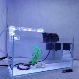 Bể cá mini để bàn có hồ lọc đèn phụ kiện đầy đủ