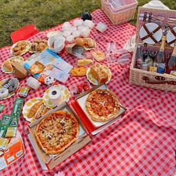 THẢM DÃ NGOẠI, DU LỊCH, PICNIC CAO CẤP - Chống thấm nước, họa tiết caro, gấp gọn tiện lợi - 2 kích thước khách chọn màu!