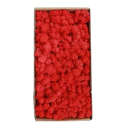 Rêu Trang Trí Tường Không Cần Bảo Dưỡng Được Bảo Quản Tự Nhiên Cho Tường