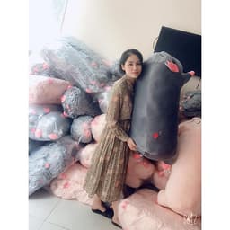 Gấu Bông Heo Lười Mắt Híp Có 5 Kích Thước 2 Màu