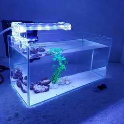 Bể cá mini để bàn có hồ lọc đèn phụ kiện đầy đủ
