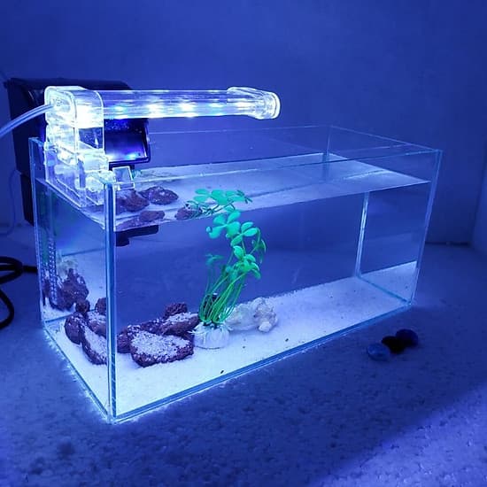 Bể cá mini để bàn có hồ lọc đèn phụ kiện đầy đủ