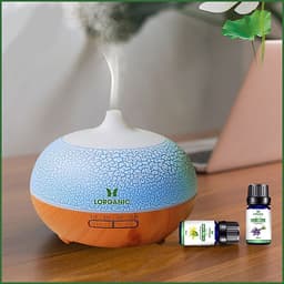 Combo máy khuếch tán/ máy xông tinh dầu Lorganic Bí Ngô FX2055 + tinh dầu bạch đàn chanh Lorganic (10ml) LGN0364/ Thích hợp xông phòng 15-40m2.