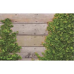Phông Nền Chụp Hình Sản Phẩm - Đạo Cụ Chụp Ảnh