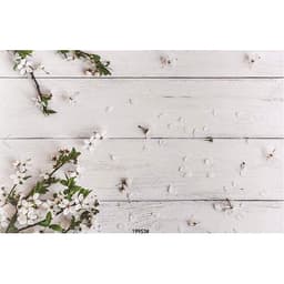 Phông Nền Chụp Hình Sản Phẩm - Đạo Cụ Chụp Ảnh