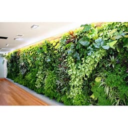 1m2 Vườn tường HOLO - Khung chậu nhựa trồng cây trồng rau trồng hoa trên tường - Nhiều màu (10 khung + 30 chậu)