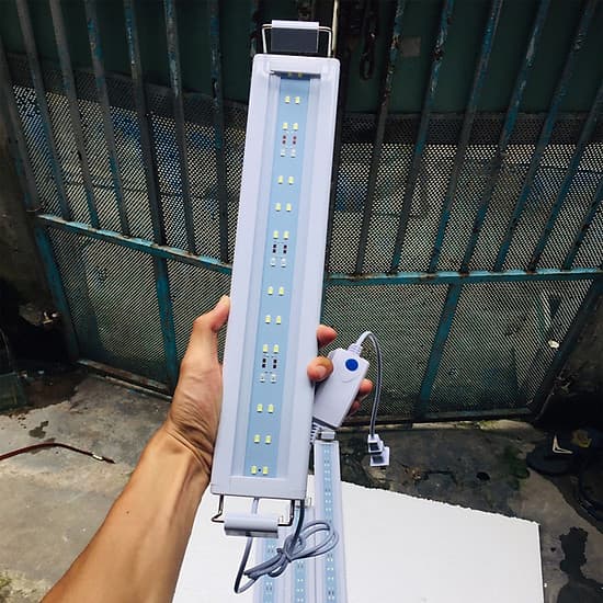 Đèn led hồ cá , hồ thủy sinh 
