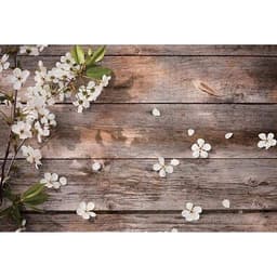 Phông Nền Chụp Hình Sản Phẩm - Đạo Cụ Chụp Ảnh