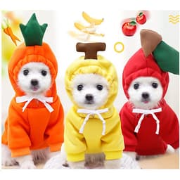Áo Quần Thú Cưng, Áo cho chó mèo siêu cute