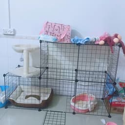 Lưới lắp ghép chuồng quây thú cưng có cửa
