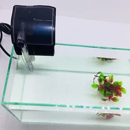Bể cá mini để bàn combo Hồ 30x13x15cm