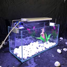 Bể cá mini để bàn combo Hồ 30x13x15cm
