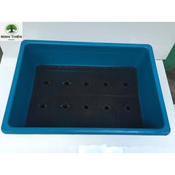 Combo 10 Chậu nhựa trồng rau | Khay trồng rau thế hệ mới 