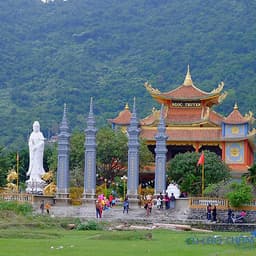 Tour Cù Lao Chàm 1 ngày đón Hội An