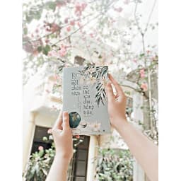 Tôi Có Một Chén Rượu, Có Thể Xoa Dịu Hồng Trần