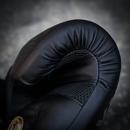 Găng tay Boxing Saigon Inspire - Black/Gold