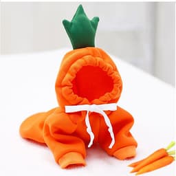 Áo Quần Thú Cưng, Áo cho chó mèo siêu cute
