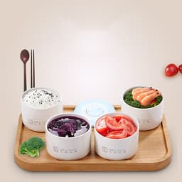 Máy Hâm Nóng Cơm LIFE ELEMENT DFH-F1519 (1.5L)
