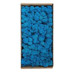 Rêu Trang Trí Tường Không Cần Bảo Dưỡng Được Bảo Quản Tự Nhiên Cho Tường