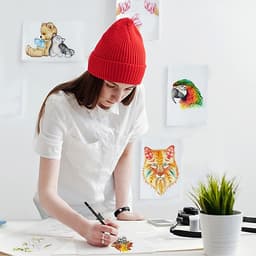 Bút Chì Màu Gốc Dầu Cao Cấp Deli  6565/6566/6567/6568