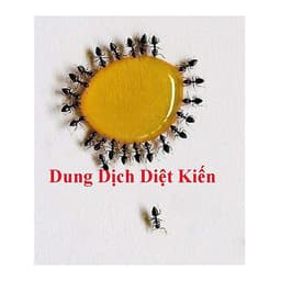 Combo 3 lọ Thuốc diệt kiến gián sinh học Hanpet- Dung dịch diệt kiến tận gốc
