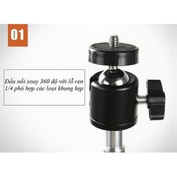 Chân Máy Quay Phim, Chụp Ảnh, Livestream Tripod LT02 - Hàng Nhập Khẩu