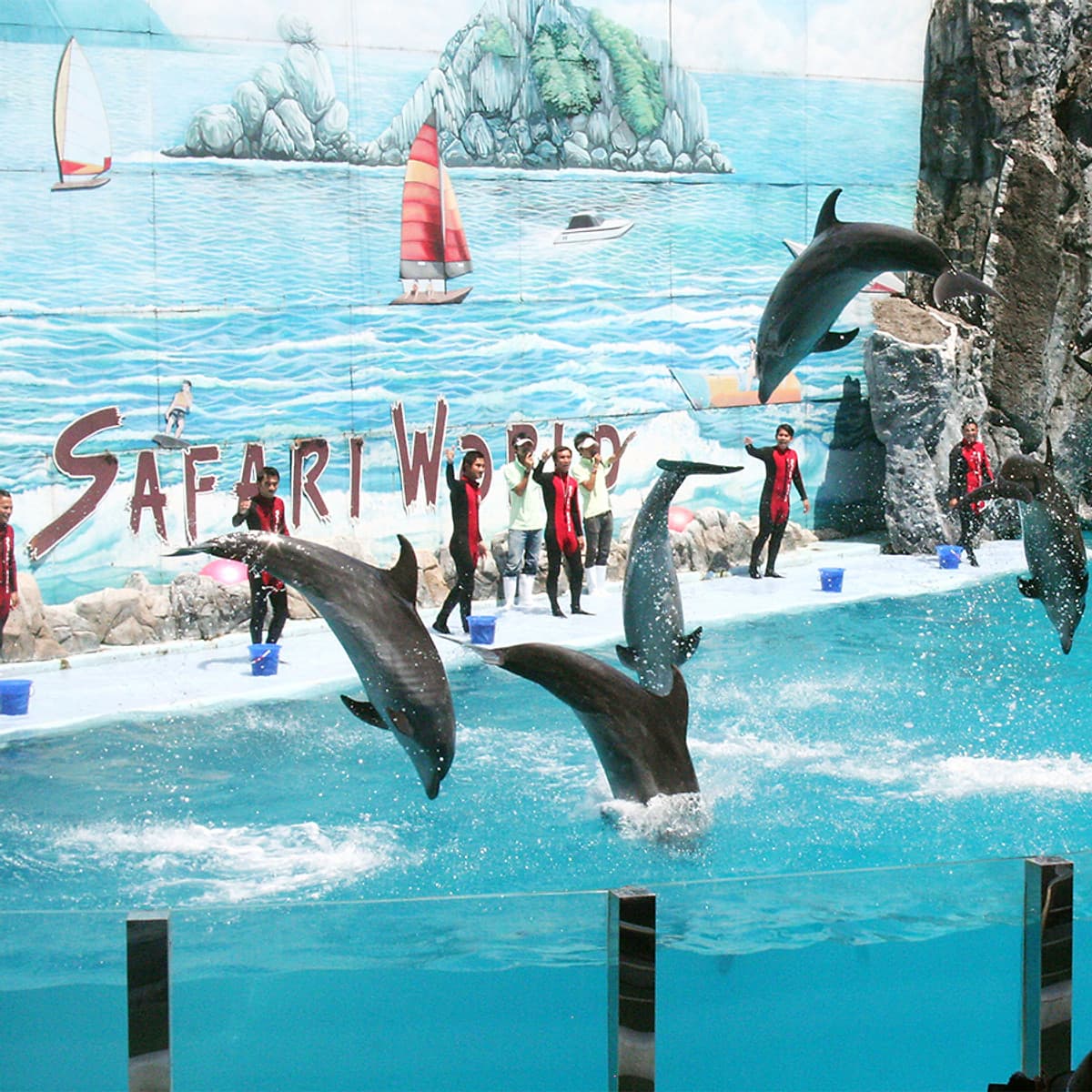 Vé Safari World Bangkok, Thái Lan - Package C: Safari Park + Marine Park + Show Thú