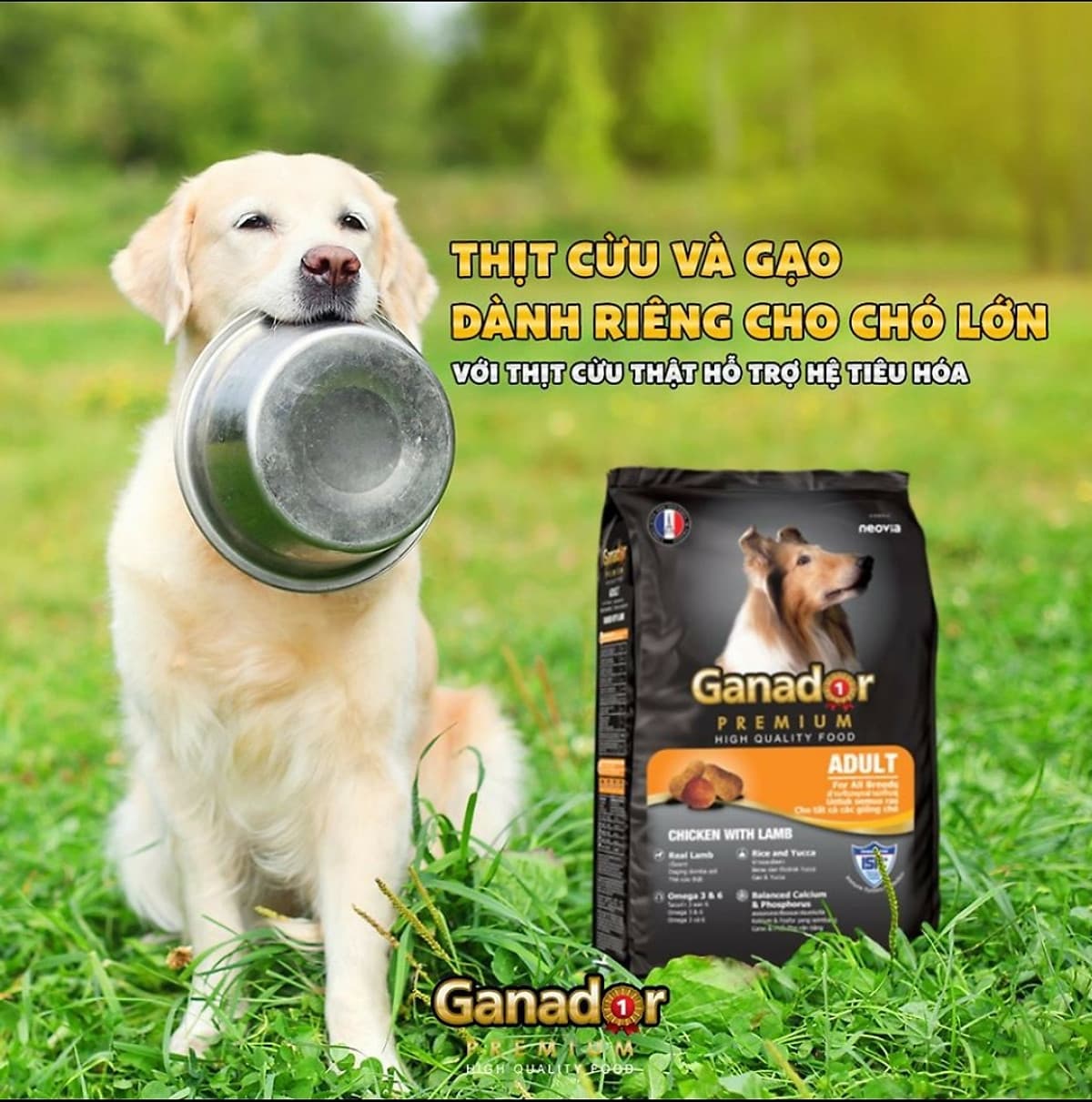 Combo 5 gói thức ăn cho chó trưởng thành Ganador vị thịt cừu & gạo Lamb & Rice 400gram