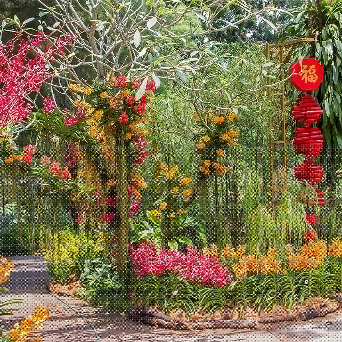 Vé Tham Quan Vườn Lan National Orchid Garden Ở Singapore