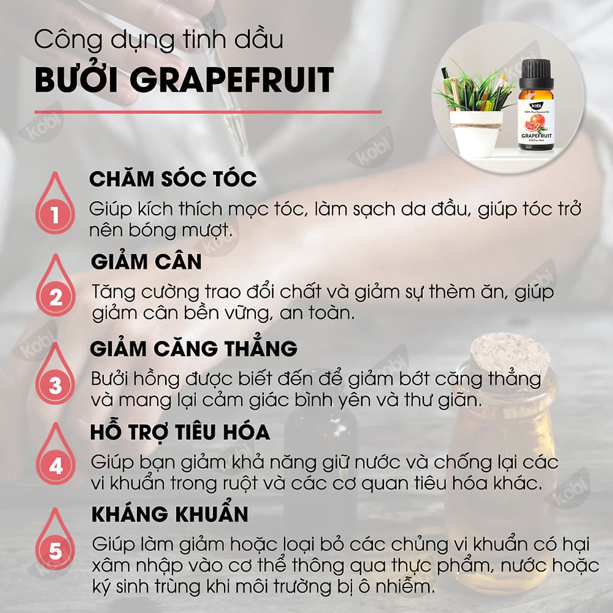 Tinh Dầu Xông Phòng Sả Chanh Kobi (10ml) + Tinh Dầu Bưởi Hồng Kobi (10ml) + Tinh Dầu Bạc Hà Kobi (10ml) Nguyên Chất Giúp Kháng Khuẩn, Khử Mùi, Giảm Stress Hiệu Quả - Tinh Dầu Thiên Nhiên