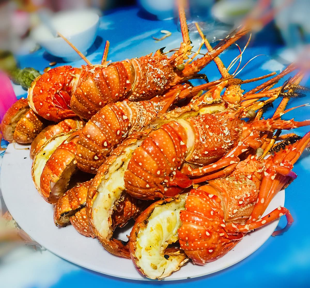 Tour Đảo Bình Ba - Bình Hưng 2N2Đ, Lặn Ngắm San Hô, Xe Giường Nằm, Khởi Hành Tối Thứ 6 Hàng Tuần & Dịp Lễ Tết