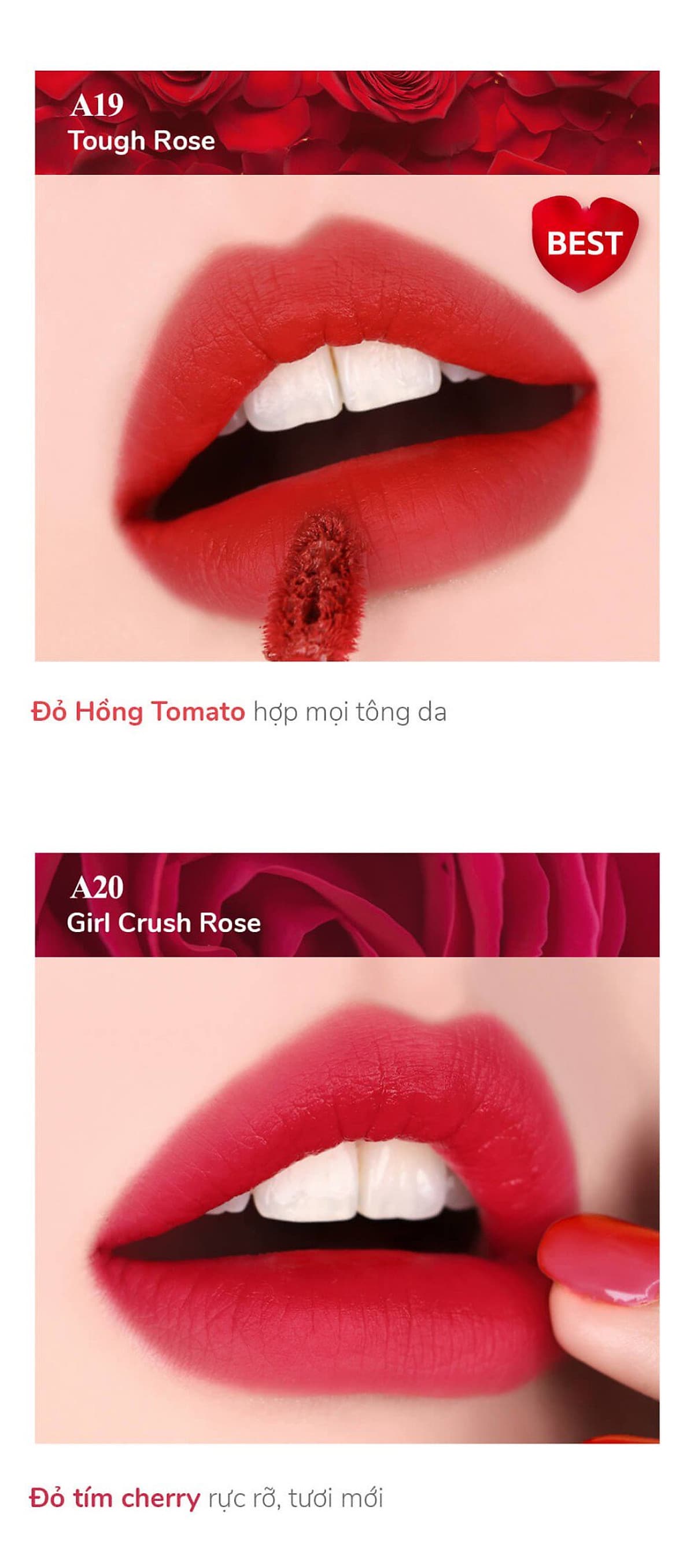 Son Kem Lì Black Rouge Air Fit Velvet Tint – Hàn Quốc
