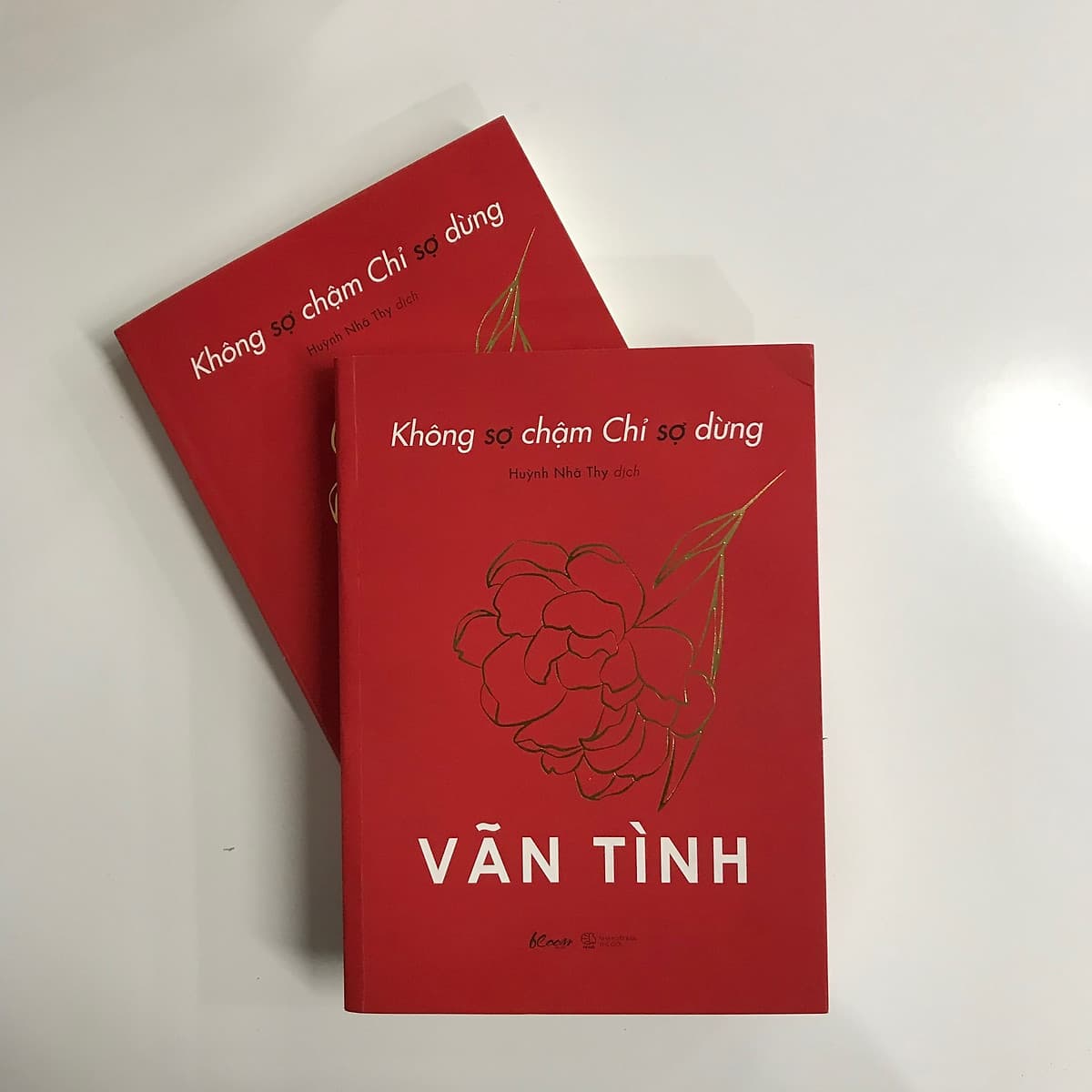 Không Sợ Chậm Chỉ Sợ Dừng - Bản Giới Hạn - Tặng Kèm Lời Chúc Và Chữ Ký Tác Giả Vãn Tình