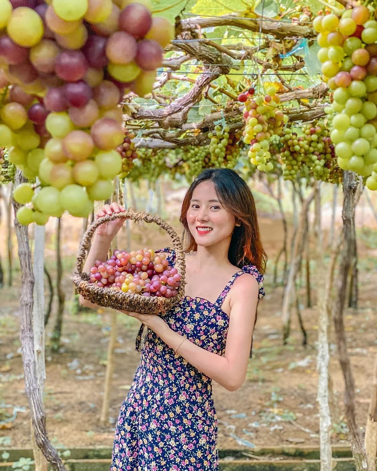 Tour Đảo Bình Ba - Bình Hưng 2N2Đ, Lặn Ngắm San Hô, Xe Giường Nằm, Khởi Hành Tối Thứ 6 Hàng Tuần & Dịp Lễ Tết