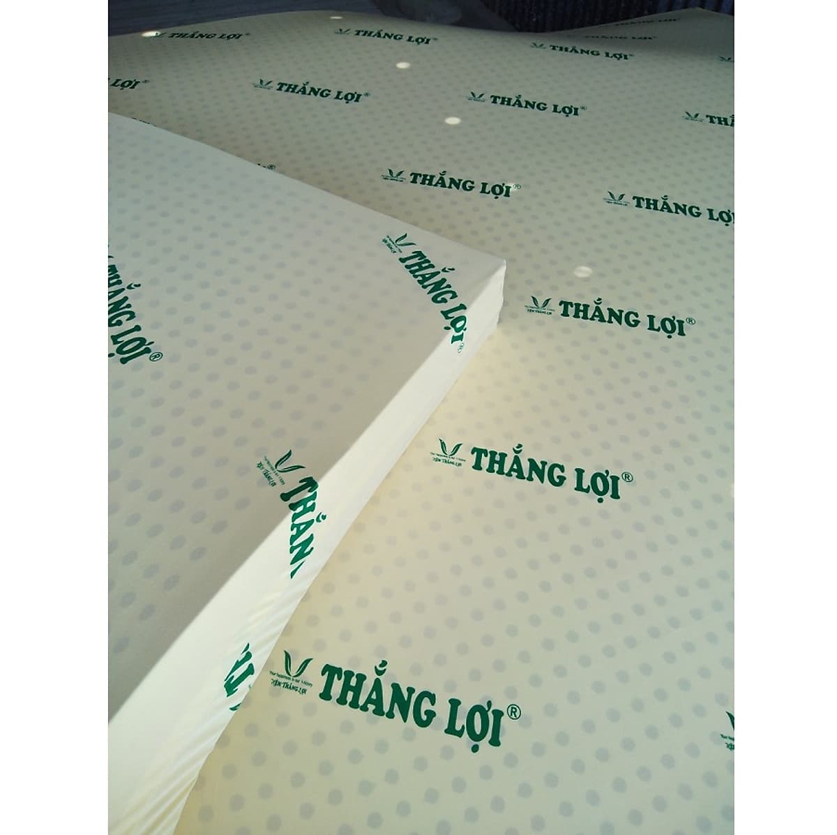 Bộ Nệm CAO SU NON THẮNG LỢI - 2 gối chính hãng