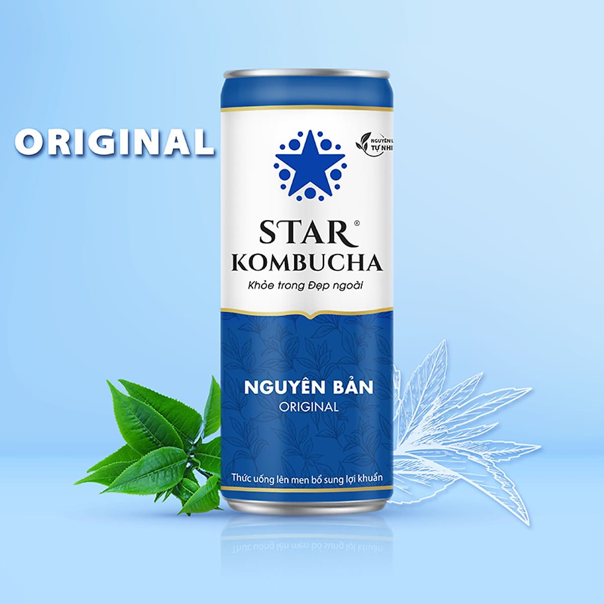 Thùng 12 lon STAR KOMBUCHA All-in-One (250ml/lon)